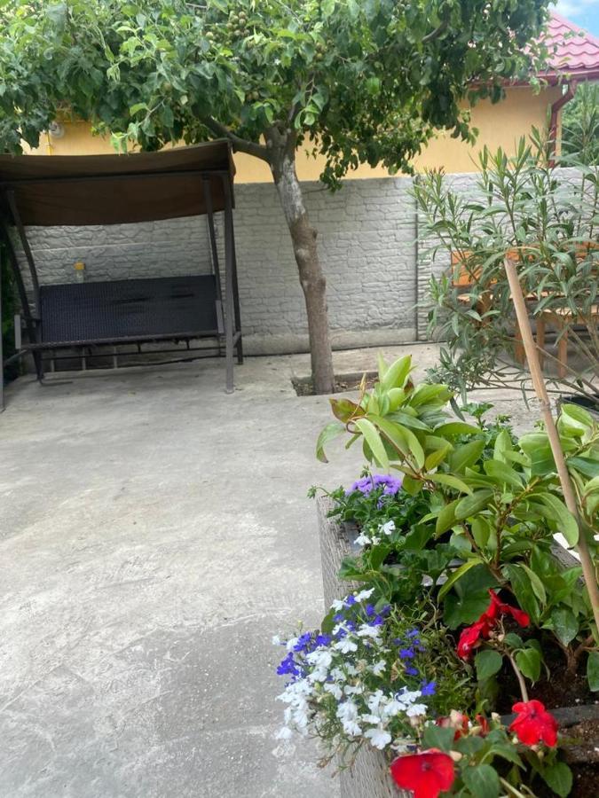 מלון אפורי נורד Casa Mateiana מראה חיצוני תמונה