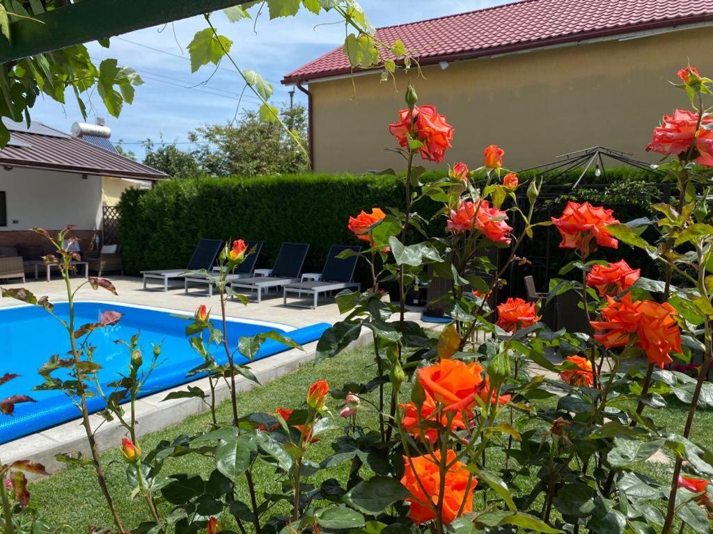 מלון אפורי נורד Casa Mateiana מראה חיצוני תמונה
